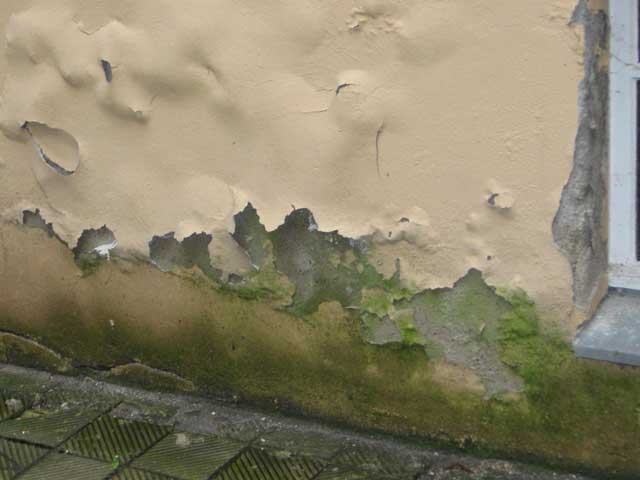 Traitement humidité des murs : lutte contre les remontées capillaires